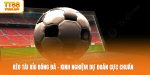 keo-tai-xiu-bong-da-avt