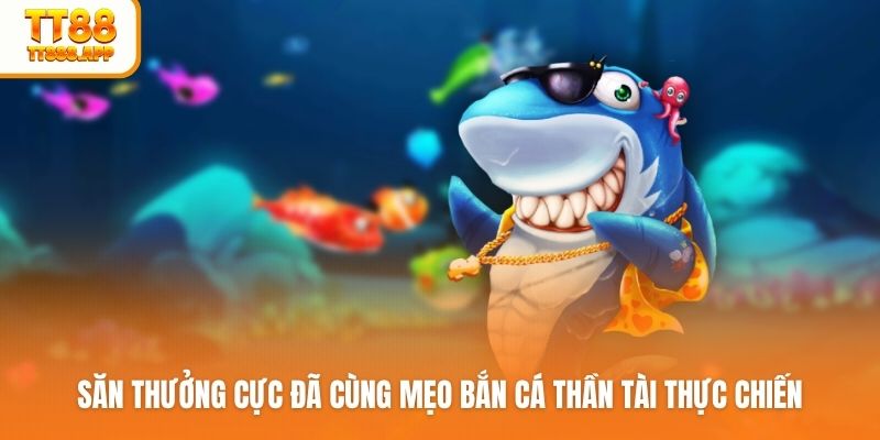 meo-ban-ca-than-tai-anh-dai-dien